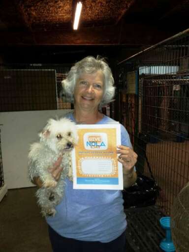 Angel with volunteer