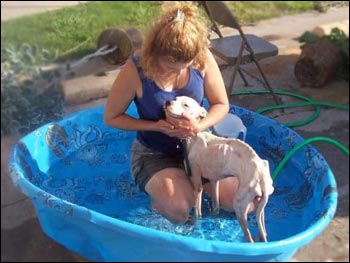 Chance gets his first bath (and bonding experience) in the warm afternoon sun from ARNO volunteer and warehouse manager, Melinda Olsen.