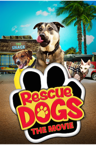 Rescue-Dogs