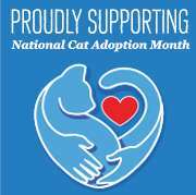 NatCatAdoptMonth2015