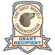 GreyMuzzle2015